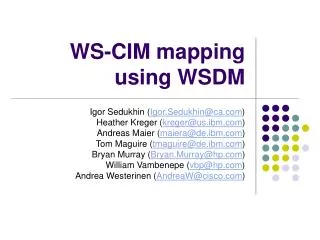 WS-CIM mapping using WSDM