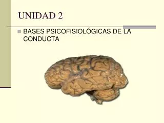 unidad 2