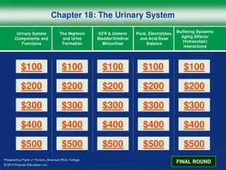 Chapter 18: The Urinary System