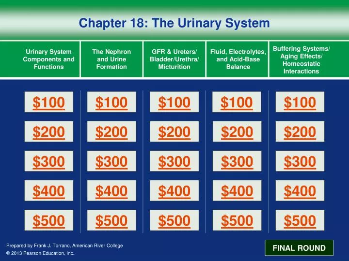 chapter 18 the urinary system