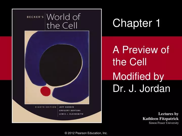 a preview of the cell modified by dr j jordan