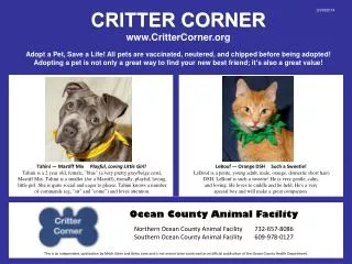 CRITTER CORNER CritterCorner