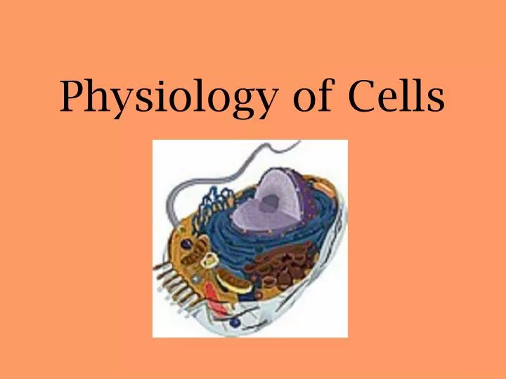 physiology of cells