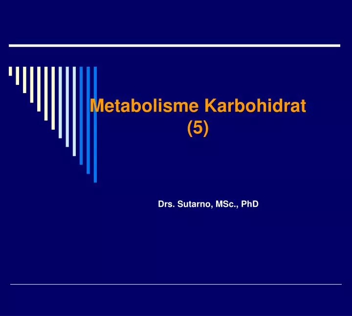 metabolisme karbohidrat 5