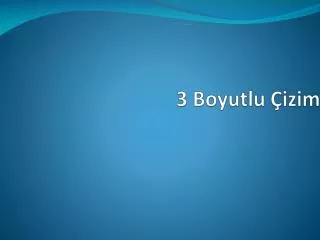 3 boyutlu izim