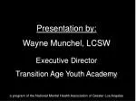 Presentation by: Wayne Munchel, LCSW Executive Director Transition Age Youth Academy - slide 1