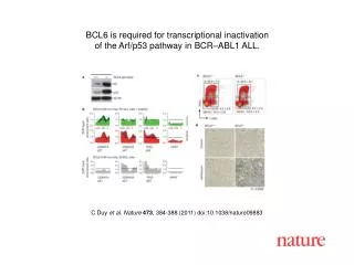 C Duy et al. Nature 473 , 384-388 (2011) doi:10.1038/nature09883