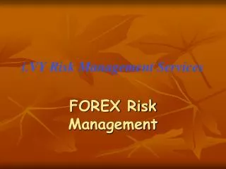 i.VY Risk Management Services
