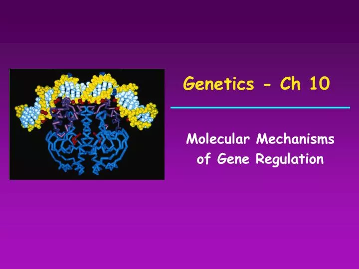 genetics ch 10