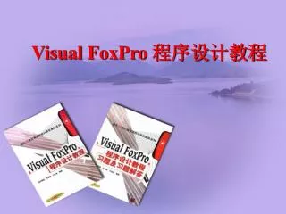 visual foxpro