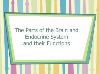 The Parts of the Brain and Endocrine System and their Functions
