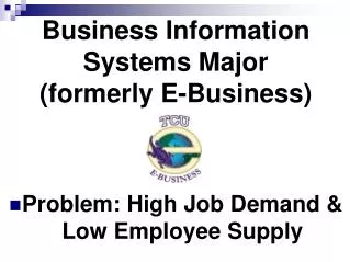 Business Information Systems Major (formerly E-Business)