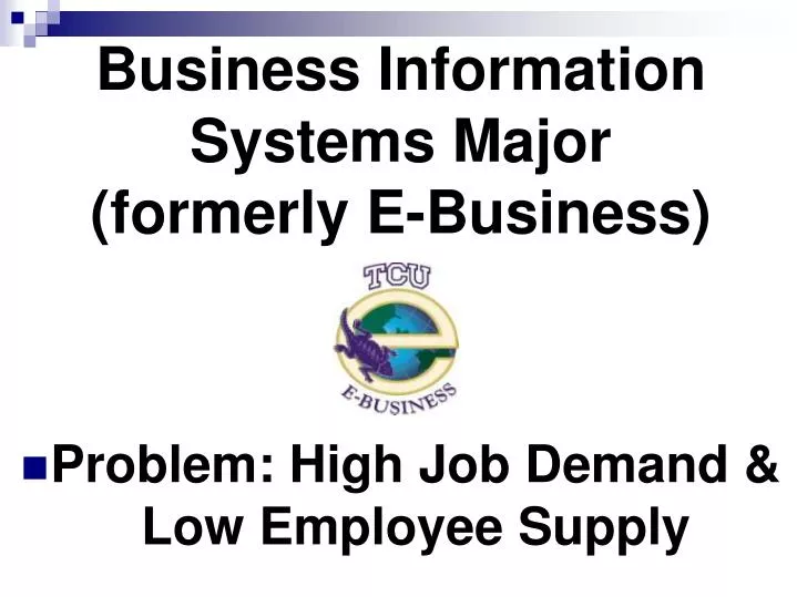 business information systems major formerly e business