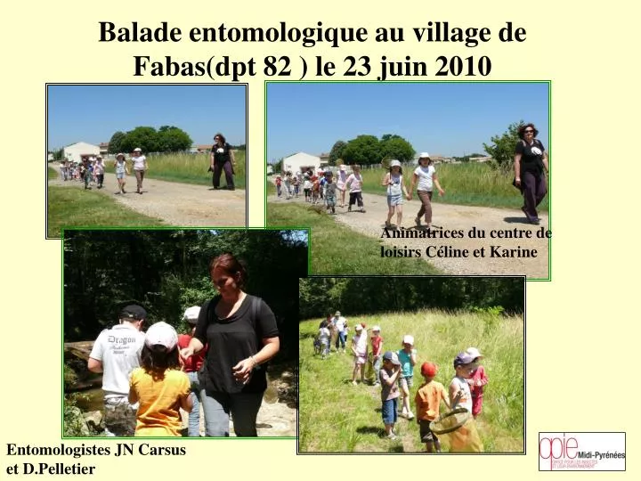 balade entomologique au village de fabas dpt 82 le 23 juin 2010