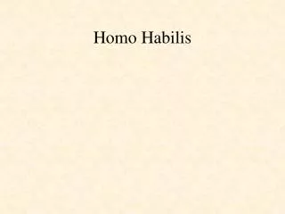 homo habilis