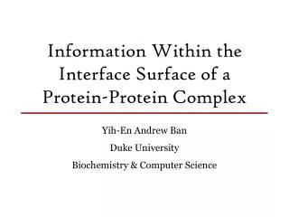 Information Within the Interface Surface of a Protein-Protein Complex