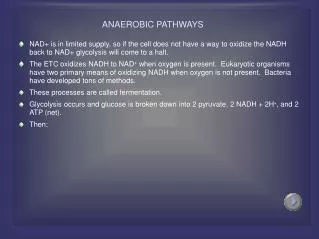 ANAEROBIC PATHWAYS