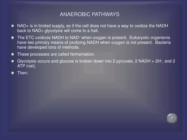 anaerobic pathways