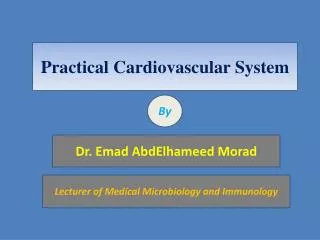 Practical Cardiovascular System