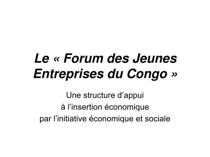 le forum des jeunes entreprises du congo