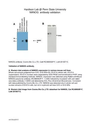 Hardison Lab @ Penn State University NANOG antibody validation