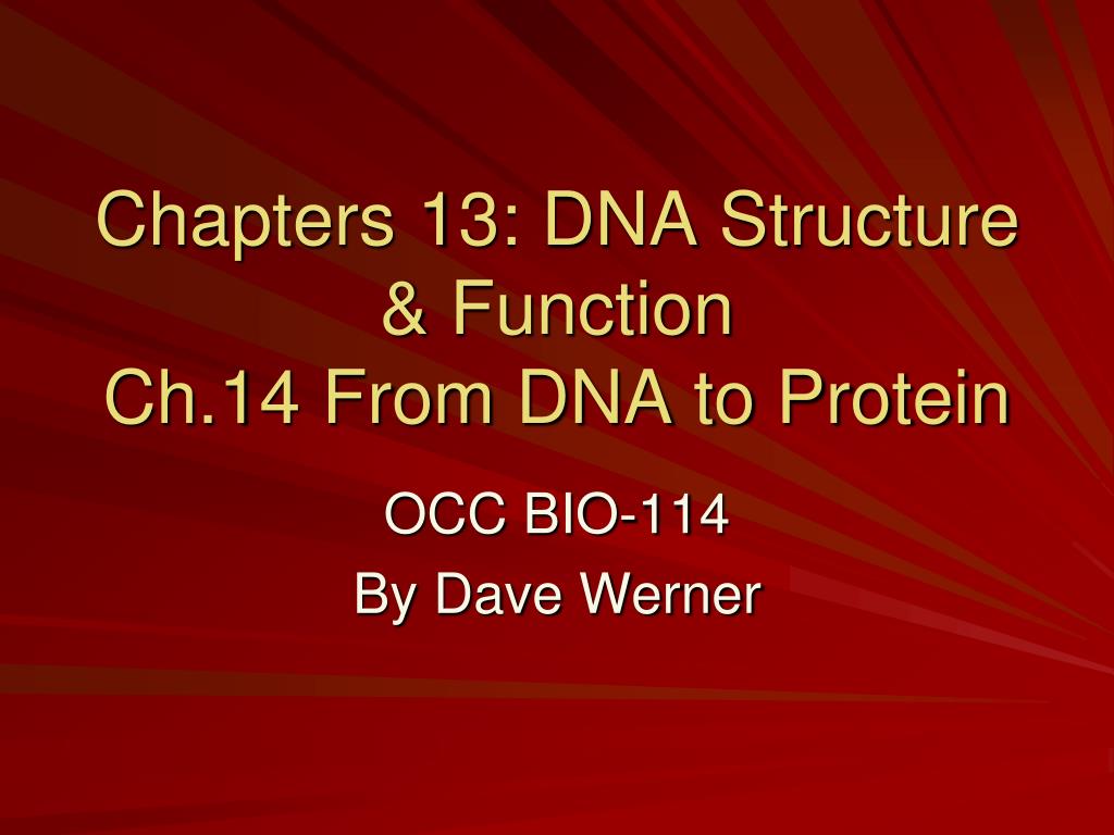 PPT - Chapters 13: DNA Structure & Function Ch.14 From DNA to Protein ...