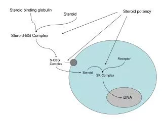Steroid binding globulin