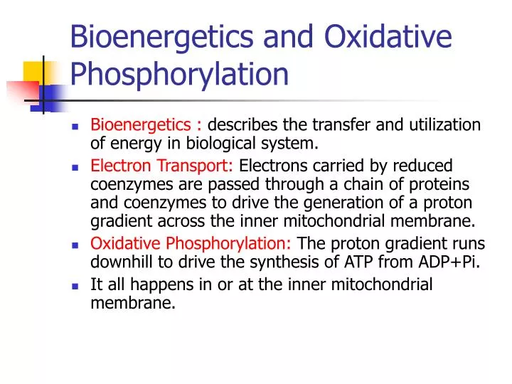 bioenergetics and oxidative phosphorylation