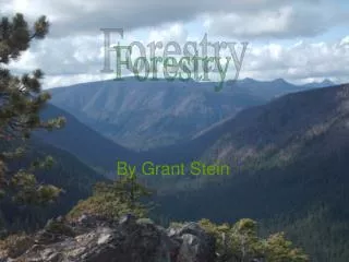 Forestry