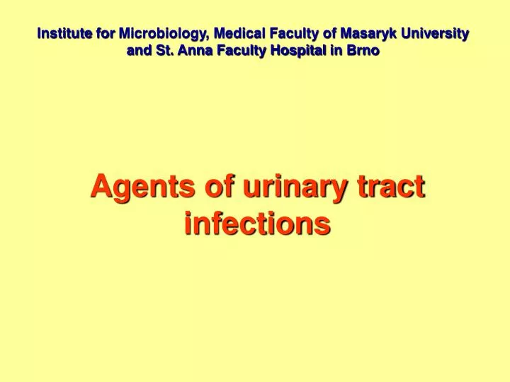 agents of urinary tract infections
