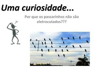 uma curiosidade