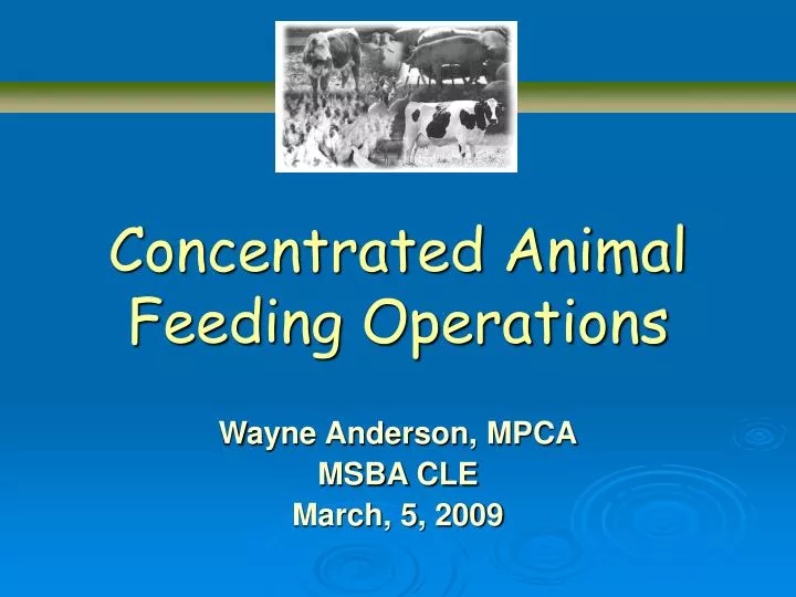 concentrated animal feeding operations