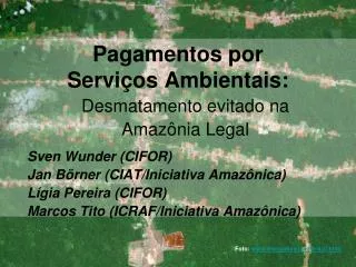 pagamentos por servi os ambientais
