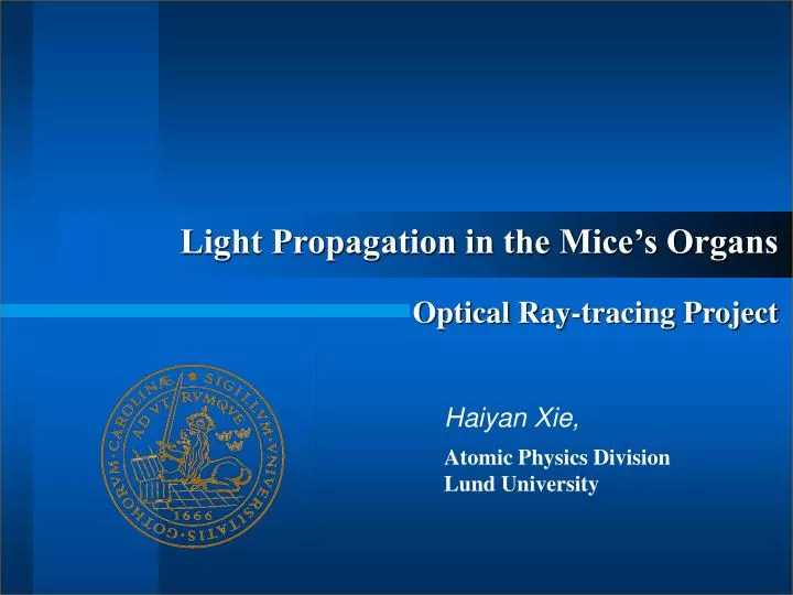 light propagation in the mice s organs optical ray tracing project