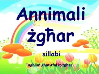annimali g ar