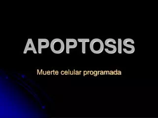 apoptosis