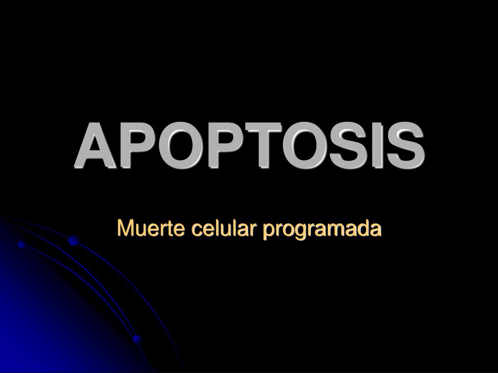 PPT - APOPTOSIS PowerPoint Presentation, free download - ID:6381363
