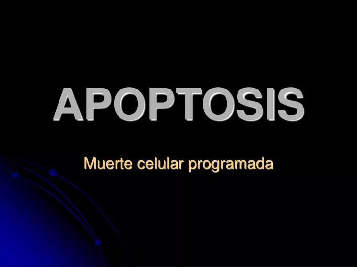 apoptosis