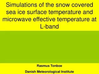 Rasmus Tonboe Danish Meteorological Institute