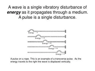 Simple Harmonic Motion of a Transverse Wave