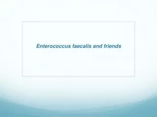 Enterococcus faecalis and friends