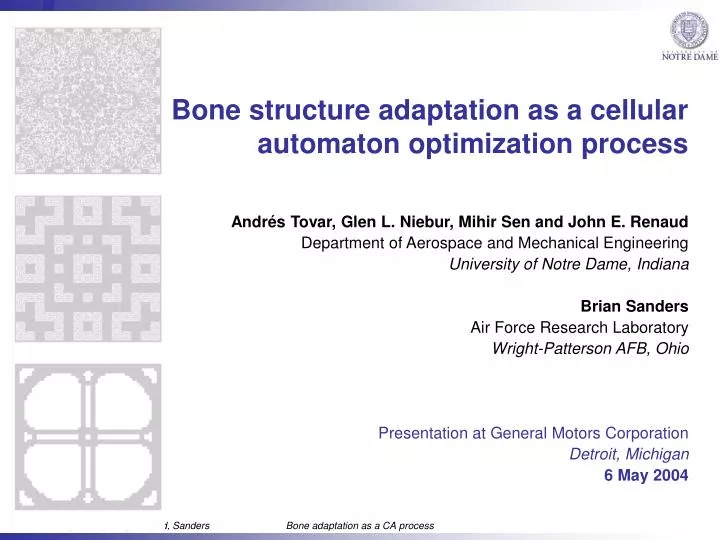 bone structure adaptation as a cellular automaton optimization process
