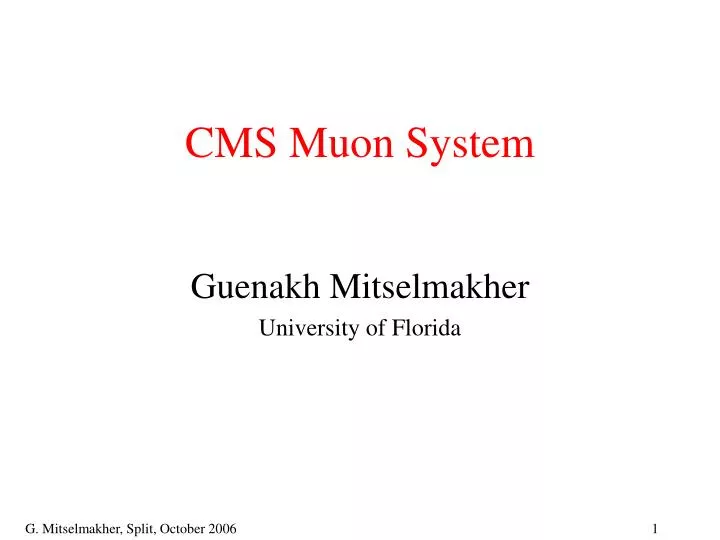 cms muon system