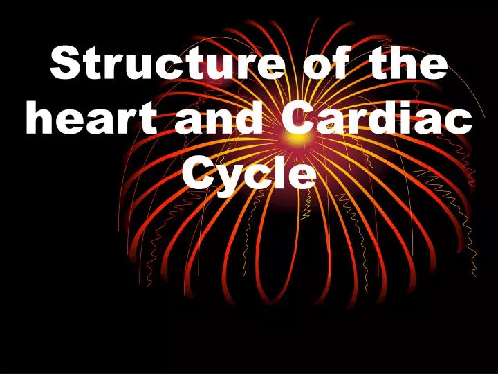 structure of the heart and cardiac cycle