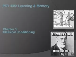 Chapter 3: Classical Conditioning