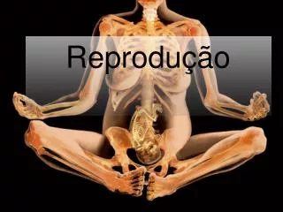 reprodu o