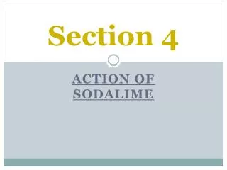 Section 4