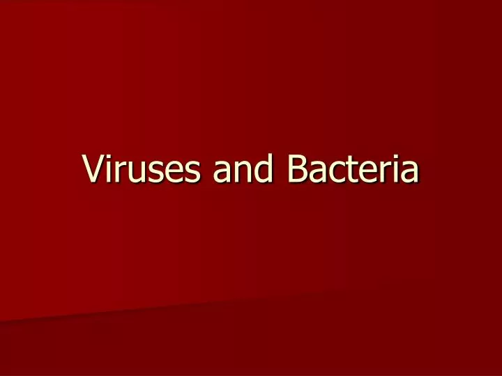 viruses and bacteria