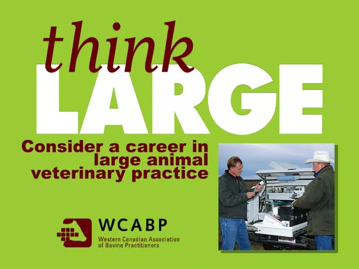 consider a career in large animal veterinary practice