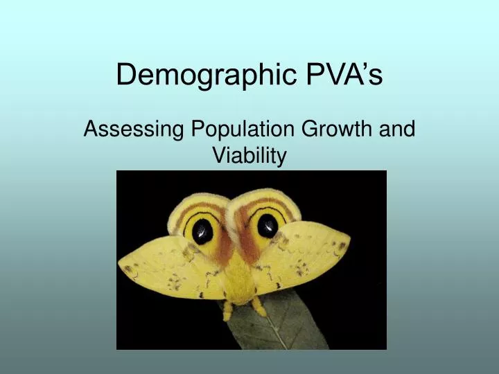 demographic pva s